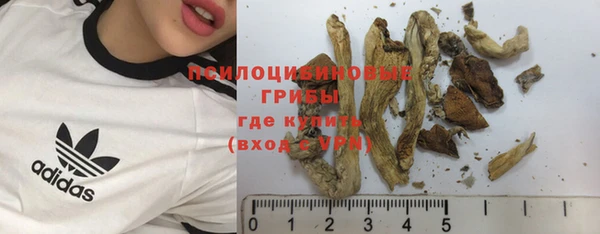 PSILOCYBIN Богородск